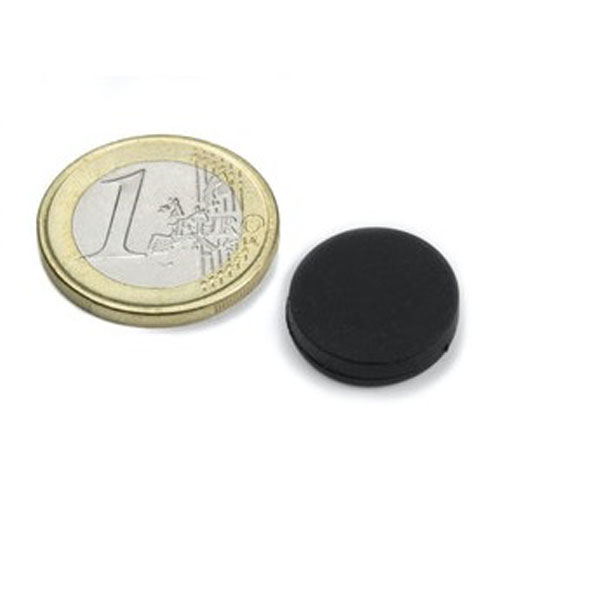rubber-coated-magnets-16.8x4.4mm.jpg